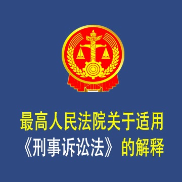 关于适用《中华人民共和国刑事诉讼法》的解释（ 法释〔2021〕1号）